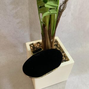The Midnight Velvet Oval Clutch